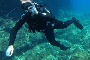 Malta: PADI Open Water Diver Course in Il-Mellieħa