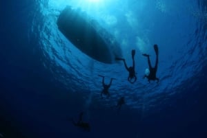 Malta: PADI Open Water Diver Course in Il-Mellieħa