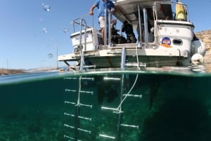 Malta: PADI Open Water Diver Course in Il-Mellieħa