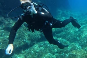 Malta: PADI Open Water Diver-kurs i Il-Mellieħa