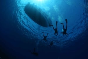 Malta: PADI Open Water Diver-kurs i Il-Mellieħa