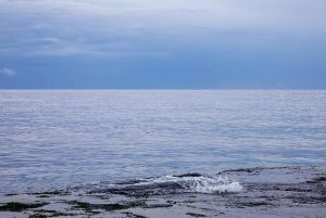 Malta: Fotografie Gruppenreise mit Profi-Fotograf