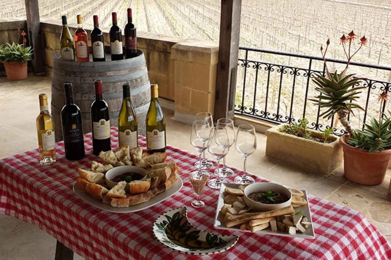 Malta: Premium Wine Tasting Experience with Food Pairings