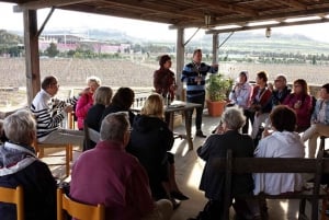 Malta: Experiência de degustação de vinhos premium com harmonização de alimentos