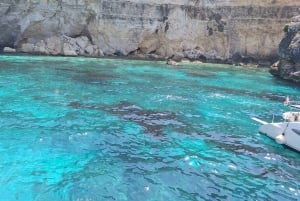 Malta: Aluguer de barco privado