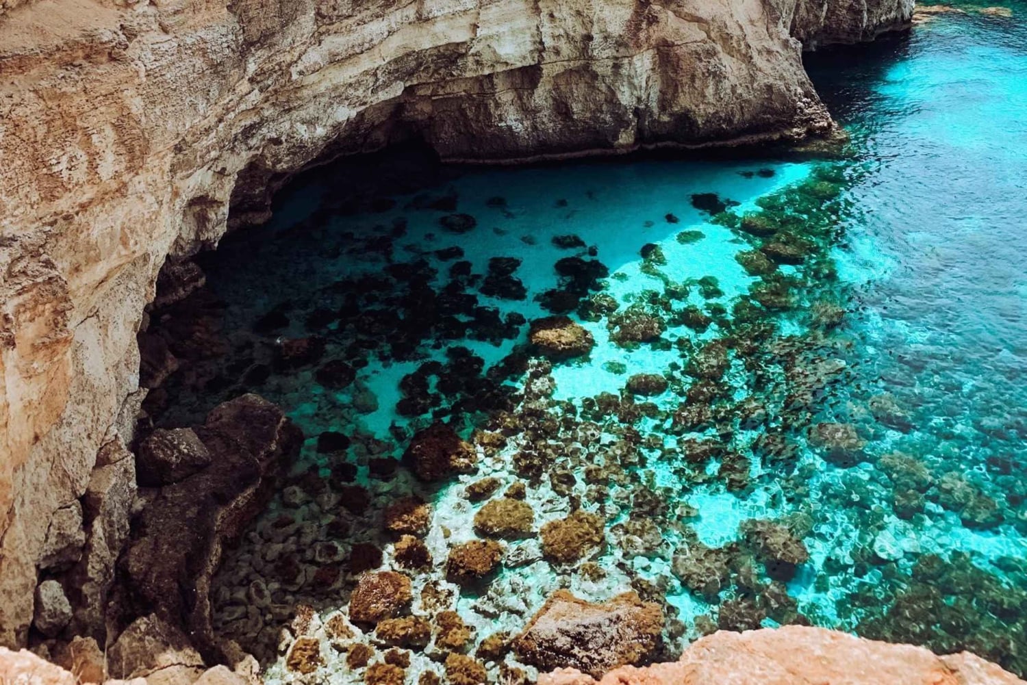 Malta: Privat båtcruise med grotter, strender og badestopp