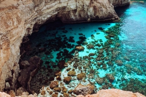 Malta: Privat båtcruise med grotter, strender og badestopp