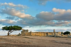 Malta: Private Full-Day Sightseeing Tour