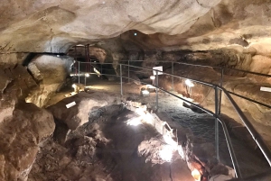 Malta: Privat halvdagstur til arkæologiske steder