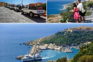 Malta: Tour privato di Gozo in jeep con pranzo