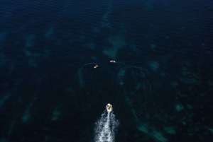 Malta: Private Jet Ski Experience