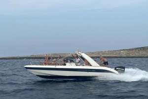 Malta: Cruzeiro privativo em lancha rápida com paradas para nadar