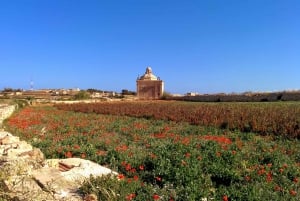 Malta: Private South Coast Nature Hiking Tour With Transport