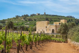 Malta: Private Vineyard Tour & Wine Tasting with Appetizers