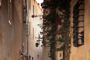 Malta: San Anton Gardens Photo Session
