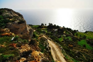 Malta: Naturskön rundtur med vintagebuss & Palazzo Falson