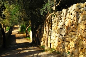 Malta: Naturskön rundtur med vintagebuss & Palazzo Falson