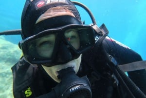 Malta: Beginner Scuba Diving with Dive Registration