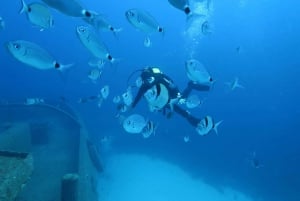 Malta: Beginner Scuba Diving with Dive Registration