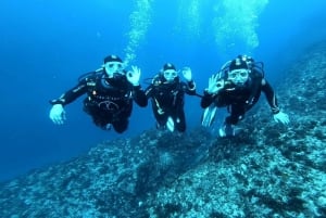 Malta, Scuba diving with instructor