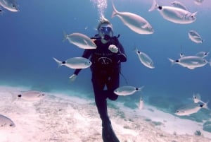 Malta, Scuba diving with instructor