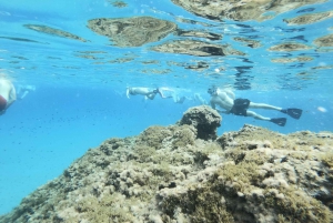 Malta: Snorkeling Tour around the Maltese Islands