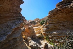 Malta: Excursão de mergulho com snorkel