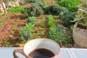 Malta: Soap Making Workshop