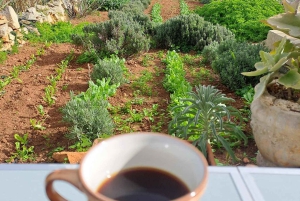 Malta: Soap Making Workshop