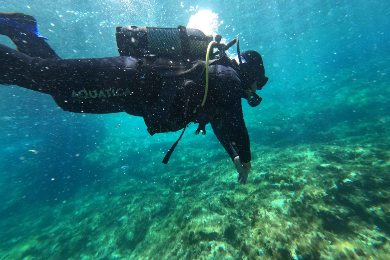 Malta: St. Paul's Bay 1-dags dykkerkursus