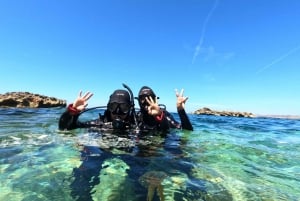 Malte : Paul's Bay - Cours de plongée sous-marine d'un jour