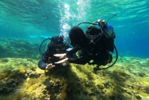 Malta: St. Paul's Bay 1-dags dykkerkursus