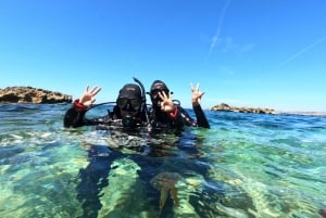 Malta: St. Paul's Bay 1-dags dykkerkursus