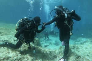 Malta: St. Paul's Bay 1-dags dykkerkursus