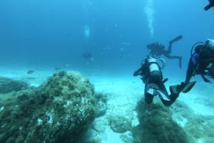 Malta: St. Paul's Bay 1-dags dykkerkursus