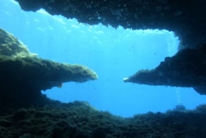 Malta: St. Paul's Bay 1-dags dykkerkursus