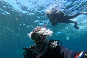 Malta: St. Paul's Bay 1-dags dykkerkursus