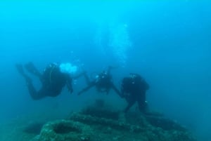 Malta: St. Paul's Bay 1-dags dykkerkursus