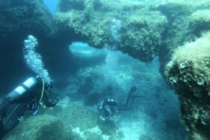 Malta: St. Paul's Bay 1-dags dykkerkursus