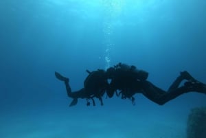 Malta: St. Paul's Bay 1-dags dykkerkursus