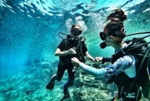 Мальта: урок подводного плавания и экскурсия с гидом