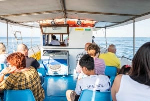 Malta: rejs wycieczkowy o zachodzie słońca do basenu św. Piotra i południowego wybrzeża