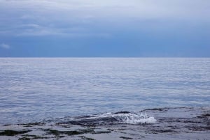 Malta: Excursión en grupo al atardecer con fotógrafo profesional