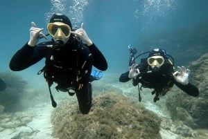 Malte: battesimo del tuffo sottomarino in un piccolo comitato