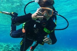 Мальтийский: Baptême de plongée sous-marine en petit comité.