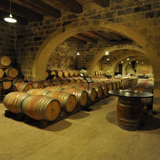 Marsovin Wine Tasting Tours in Malta