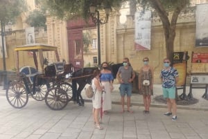 Mdina ja Rabat Yksityinen kävelykierros paikallisen pastizzin kanssa