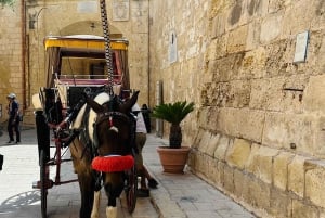 Mdina at Sunset: Small Group Tour of the Silent City