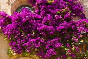 Mdina at Sunset: Small Group Tour of the Silent City