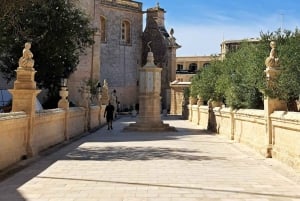 From Sliema: Mdina and Rabat Trip